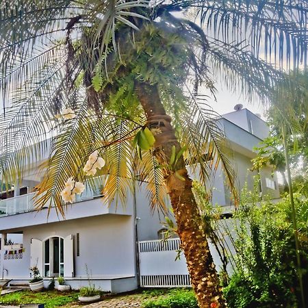 Casa Mani Bed & Breakfast Ubatuba Exterior photo